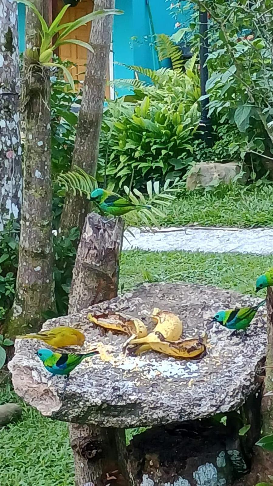 Casa- Chale Recanto Das Sairas Em Paraty
